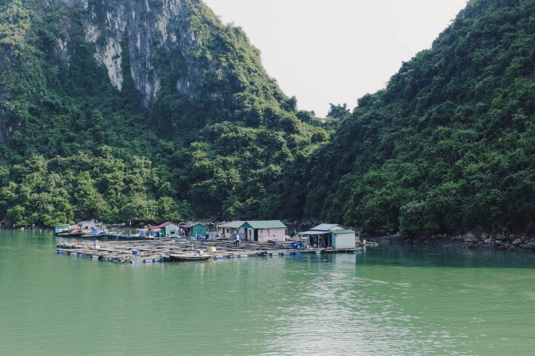Schwimmendes Dorf in der Halong-Bucht Vietnam
