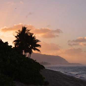 Sonnenuntergang mit Palmen am Strand von Haleiwa, Oahu, Hawaii.