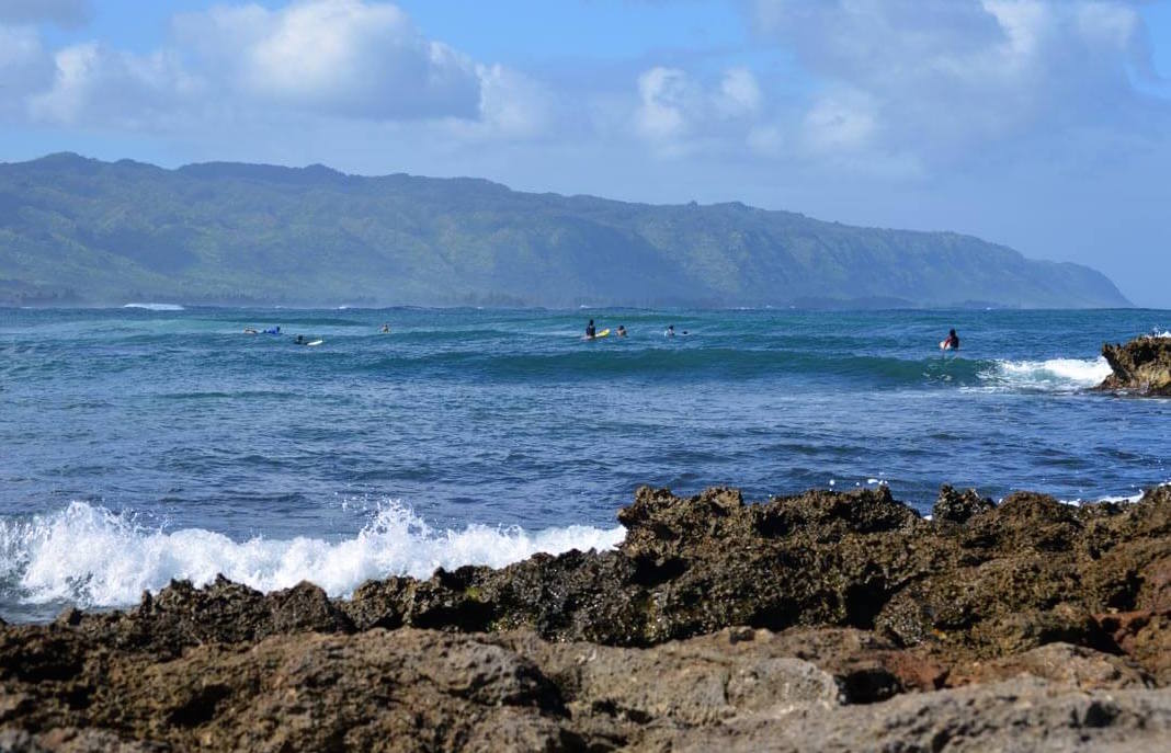 Hawaii Best Surf Spots For Beginners Anemina Travels