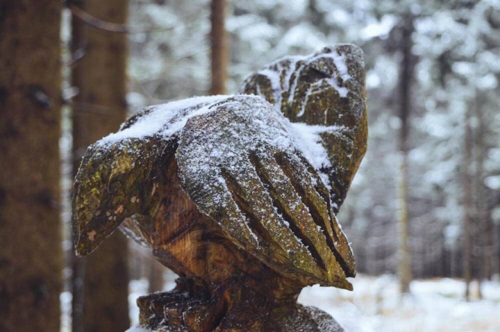 Tipps für Oberhof Thüringen Vogel Holzskulptur im Thüringer Wald am Rennsteig