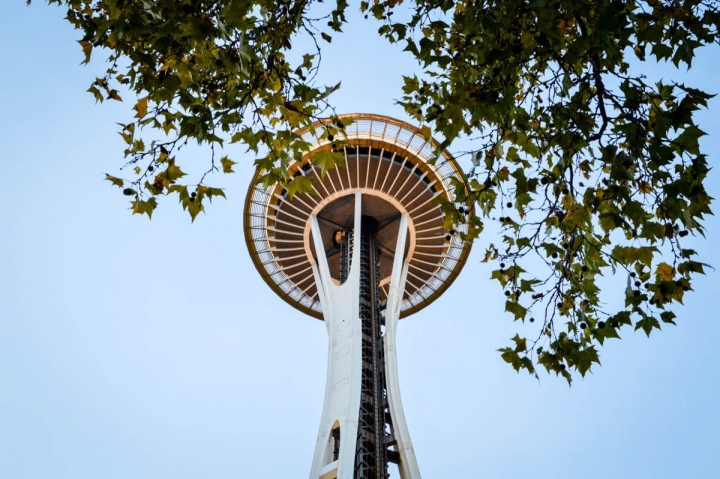 Blick durch gefärbtes Laub an den Bäumen auf die Seattle Space Needle