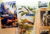 Hawaii Inselhopping Guide Oahu: Postkarten und Poster hängen im Aviation Museum in Pearl Harbor