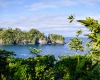 Inselhopping-Guide Hawaii Welche Insel ist die richtige für dich Big Island Hilo Botanical Garden
