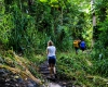 Inselhopping-Guide Hawaii Welche Insel ist die richtige für dich Kauai Dschungelwanderung