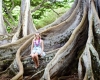 Inselhopping-Guide Hawaii Welche Insel ist die richtige für dich Kauai Jurassic Park Trees