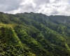 Inselhopping-Guide Hawaii Welche Insel ist die richtige für dich Kauai Napali Coast Hinterland