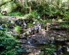 Inselhopping-Guide Hawaii Welche Insel ist die richtige für dich Kauai Picknickplatz