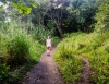 Inselhopping-Guide Hawaii Welche Insel ist die richtige für dich Maui Road to Hana Wandern auf dem Pipiwai Trail