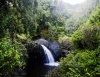 Inselhopping-Guide Hawaii Welche Insel ist die richtige für dich Maui Wasserfall an der Road to Hana