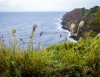 Inselhopping-Guide Hawaii Welche Insel ist die richtige für dich Maui Westküste