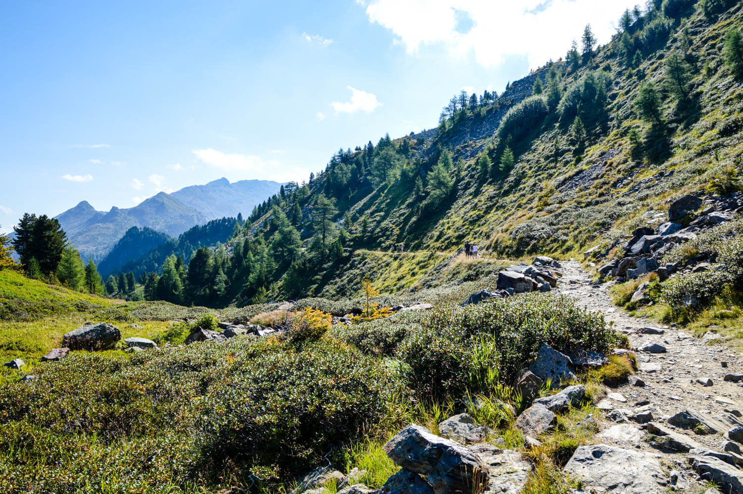 Wandern In Hall-Wattens Auf Dem Zirbenweg Der Wanderweg