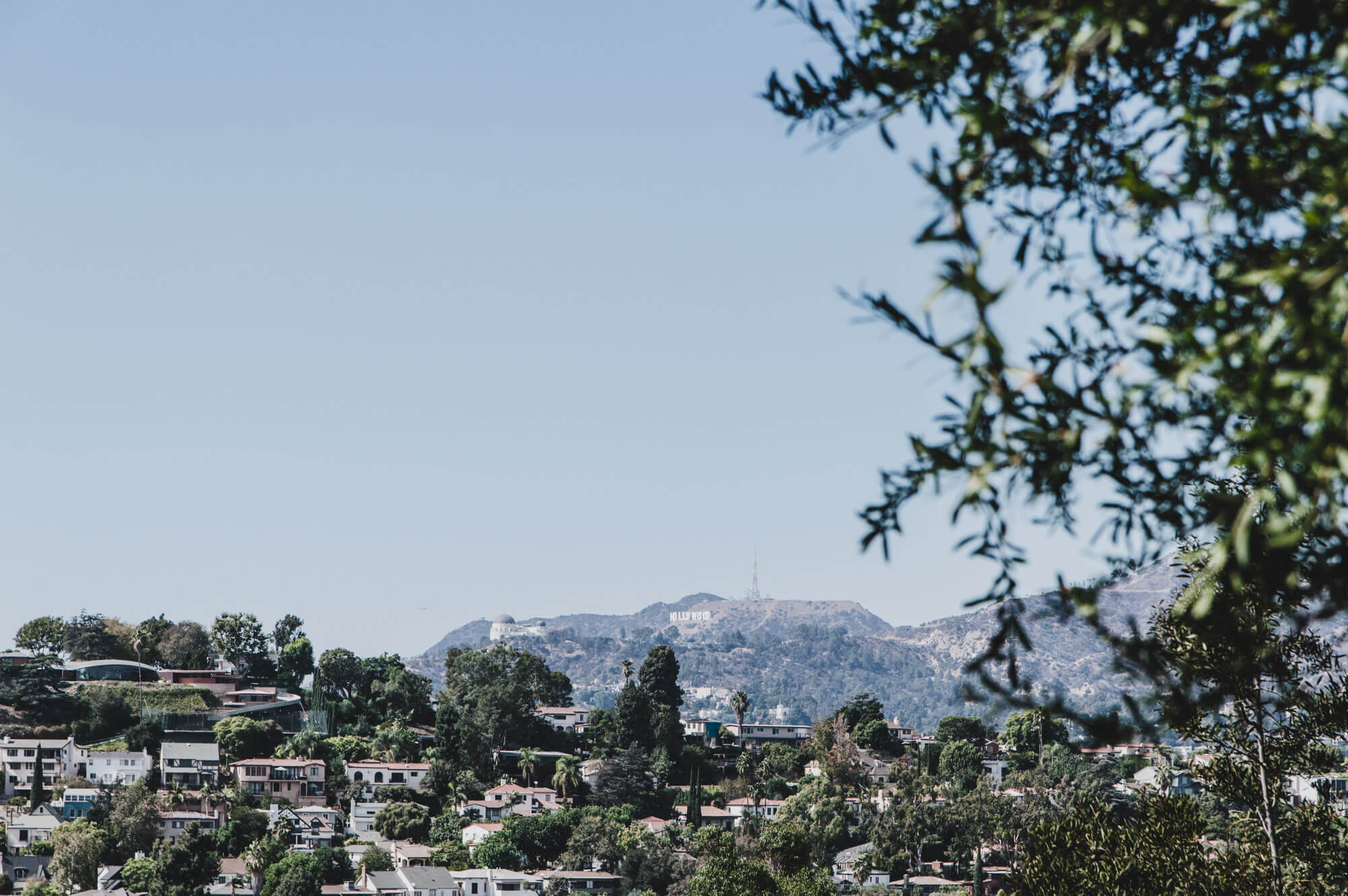 Los Angeles Tipps und Geheimtipps für den Städtetrip Blick auf das Hollywood Sign von Silver Lake
